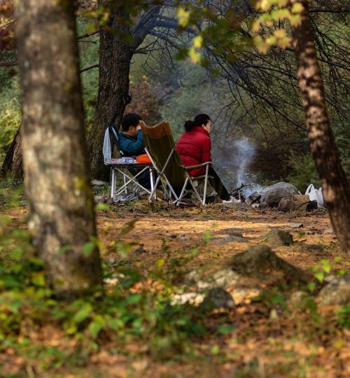 autumn-4830204_1280